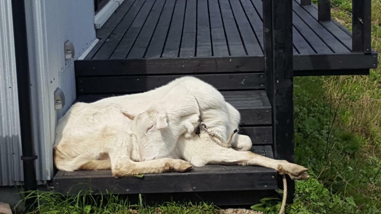Asobi Lodge Kjotango Kültér fotó